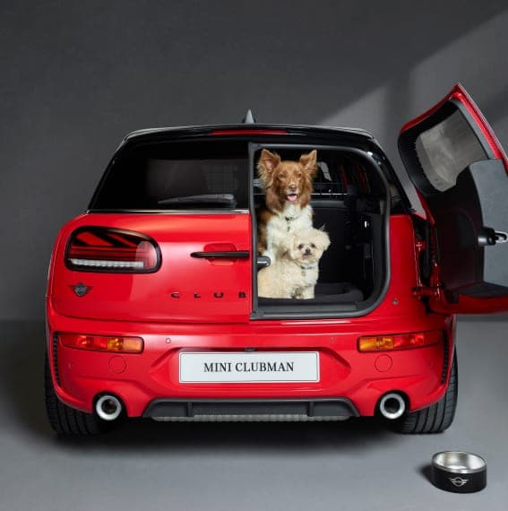 Santa Paws event image - Mini Cooper with dogs